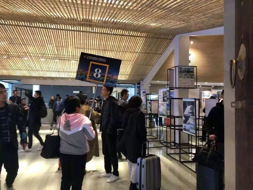 文投會(huì)務(wù)丨2019年度全國(guó)建筑設(shè)計(jì)創(chuàng)新創(chuàng)優(yōu)大會(huì)暨全國(guó)優(yōu)秀建筑設(shè)計(jì)展示交流會(huì)后勤保障工作圓滿完成